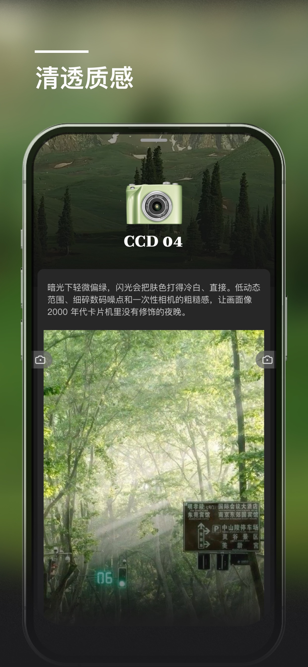绿色森林的 Roli CCD 效果